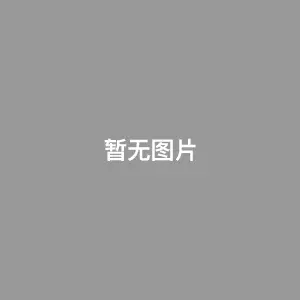 狂赌之渊 第二季